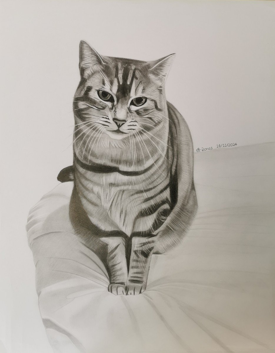 Finely shaded graphite drawing of a cat